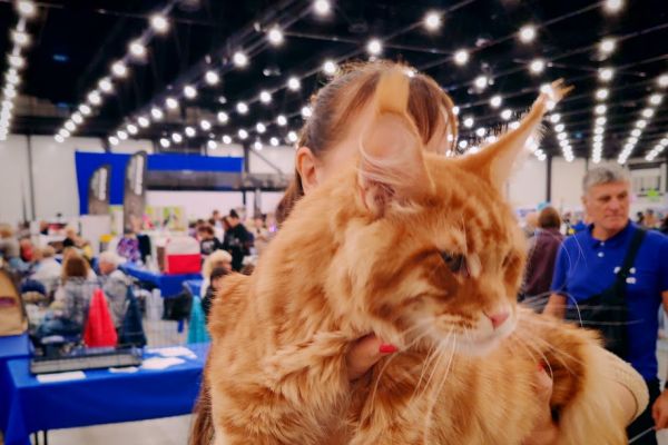 img-20260906-1459544A51C8C0-B23A-7F34-A097-1C1F864D237B.jpg